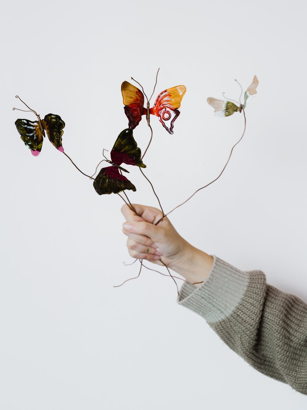 MARIPOSAS.jpg Mariposas - Imagen 1